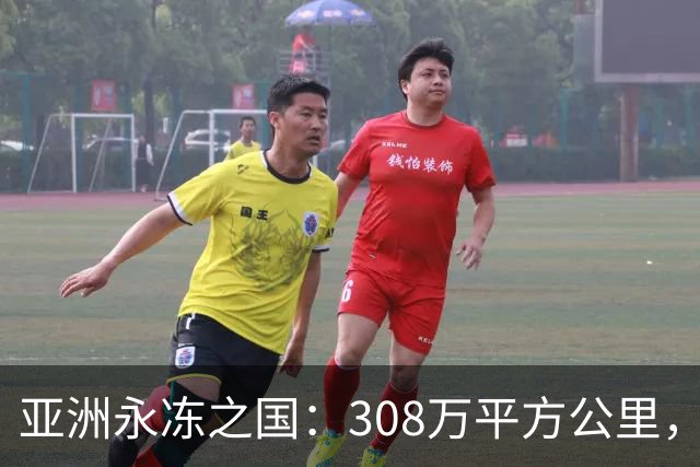 亚洲永冻之国：308万平方公里，却仅98万人，为何生育率这么低？